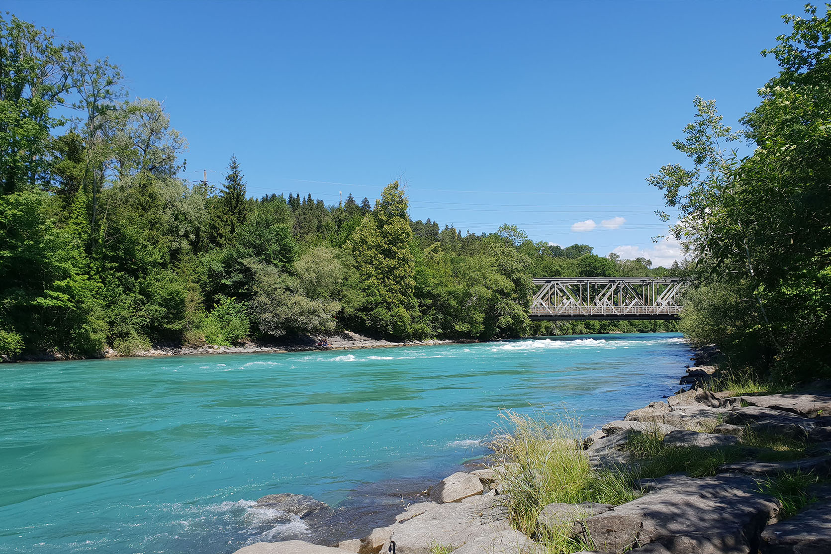 Die türkisfarbigi Aare mit Böim und ere Brugg